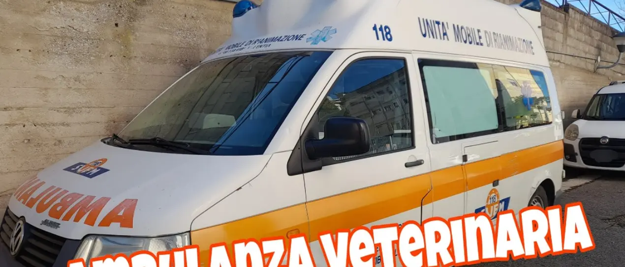 Lotta al randagismo, l’Asp Vibo dona un’ambulanza dismessa all’associazione “Argo”