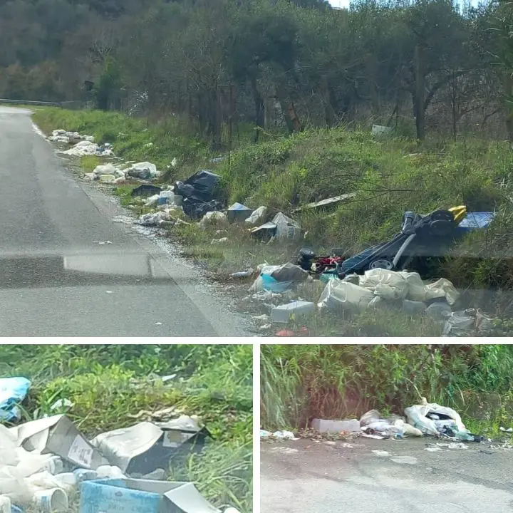 “Ghirlande” di munnezza lungo le strade vibonesi, lo sconforto di un lettore: «Vivo fuori e quando torno mi vergogno»