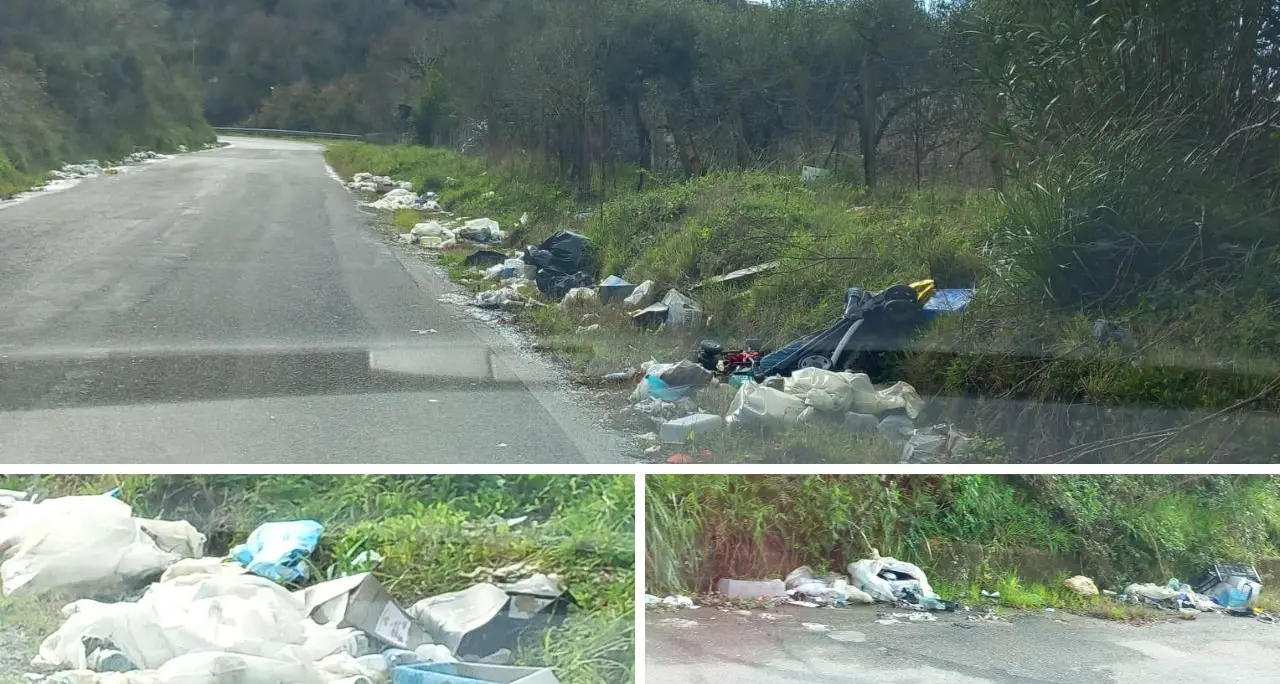 “Ghirlande” di munnezza lungo le strade vibonesi, lo sconforto di un lettore: «Vivo fuori e quando torno mi vergogno»