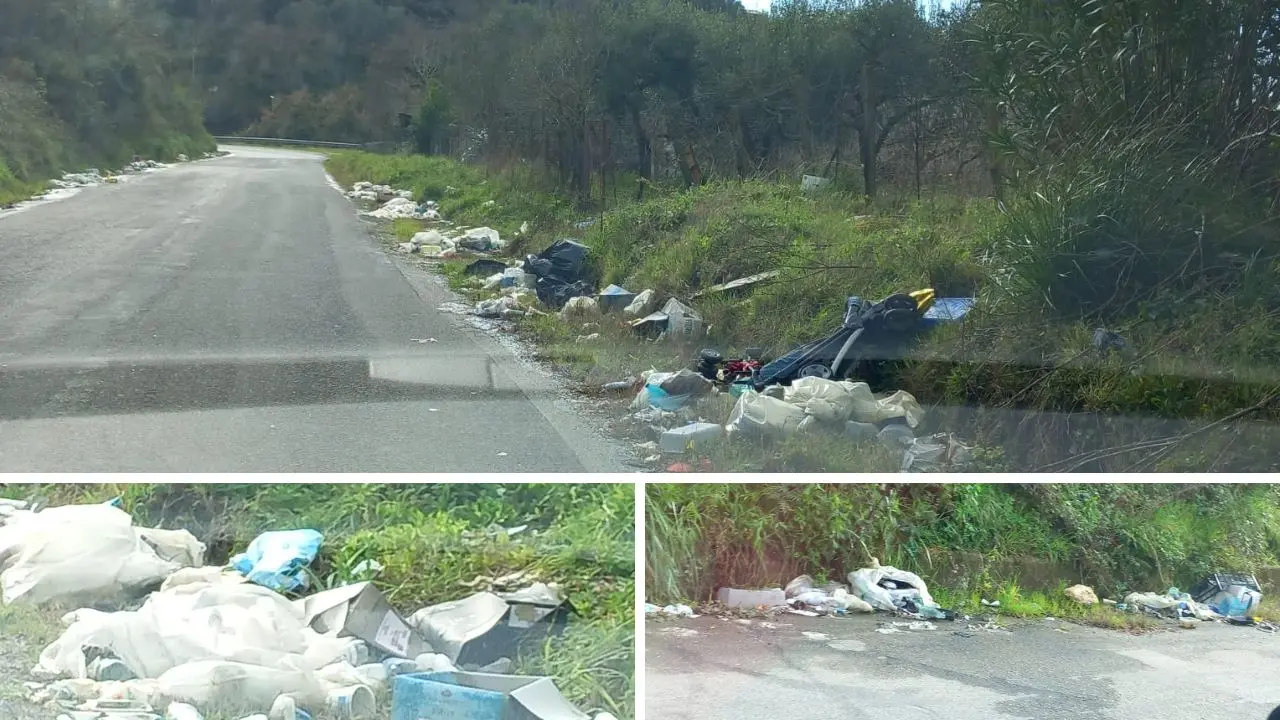 “Ghirlande” di munnezza lungo le strade vibonesi, lo sconforto di un lettore: «Vivo fuori e quando torno mi vergogno»