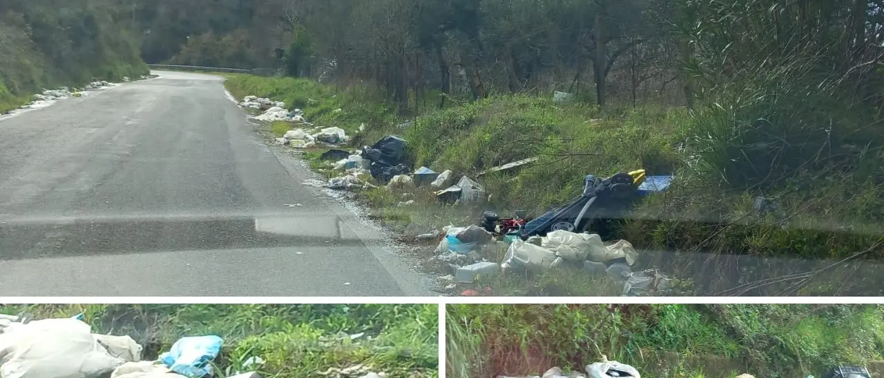 “Ghirlande” di munnezza lungo le strade vibonesi, lo sconforto di un lettore: «Vivo fuori e quando torno mi vergogno»