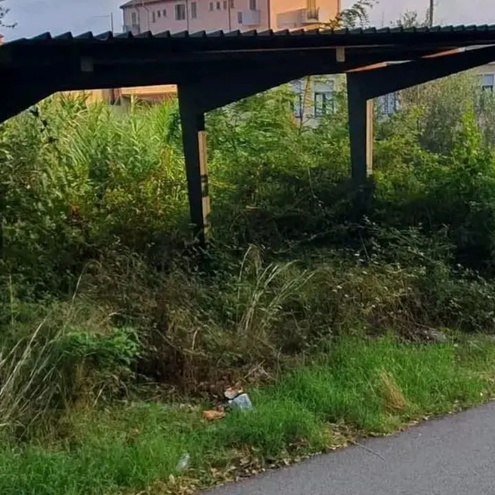 Vibo e gli studenti senza pensiline, il consigliere Lo Bianco solleva il caso