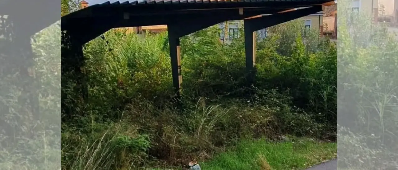 Vibo e gli studenti senza pensiline, il consigliere Lo Bianco solleva il caso