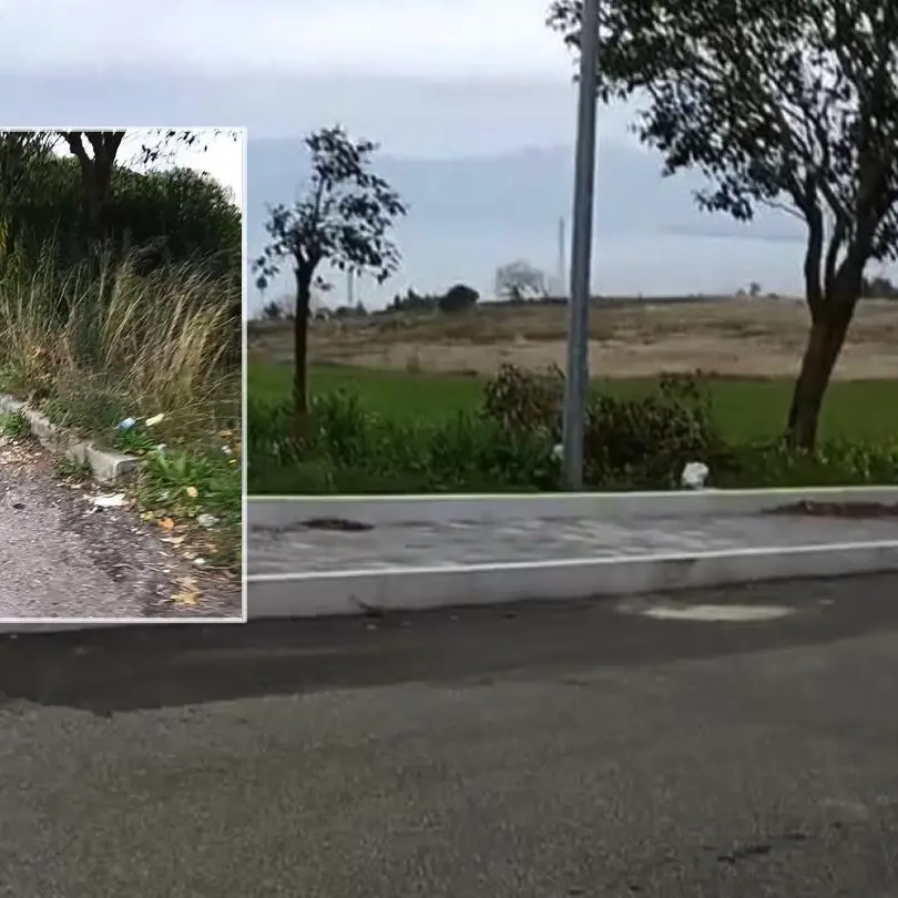 Terminal bus di Viale della Pace a Vibo senza pensiline e paline, Soriano: «Ennesimo fallimento della Limardo»