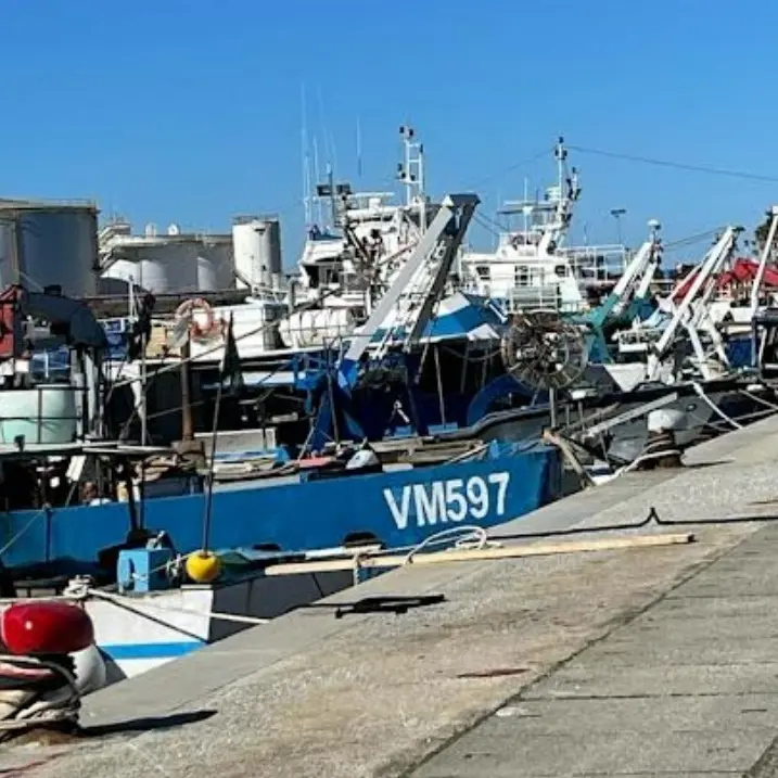 Vibo Marina, pescatori in protesta: «Le politiche Ue favoriscono le importazioni»
