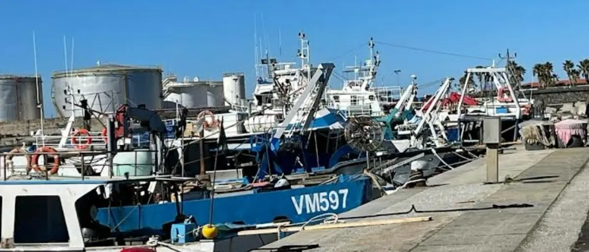 Vibo Marina, pescatori in protesta: «Le politiche Ue favoriscono le importazioni»
