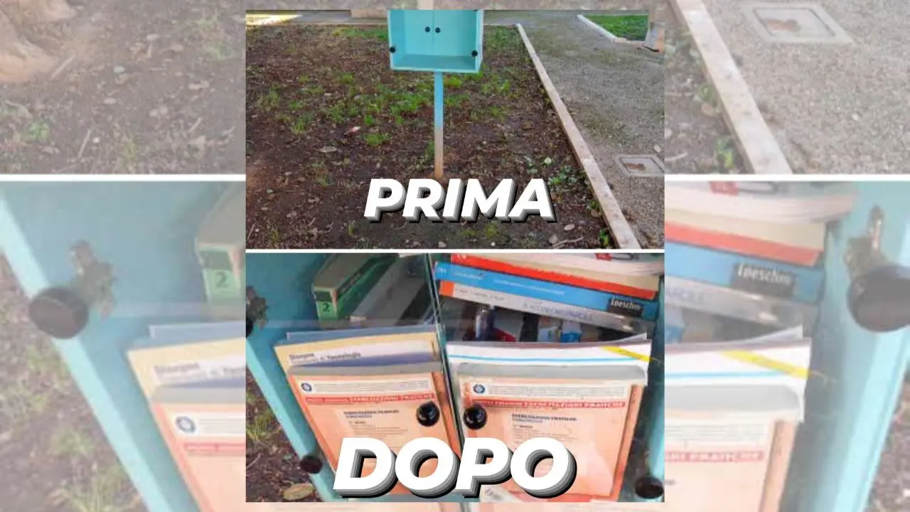 Book sharing a Vibo, Lo Muto (Noi moderati): «Nuovi libri grazie all'istituto De Filippis-Prestia»