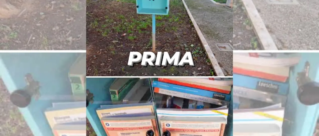 Book sharing a Vibo, Lo Muto (Noi moderati): «Nuovi libri grazie all'istituto De Filippis-Prestia»