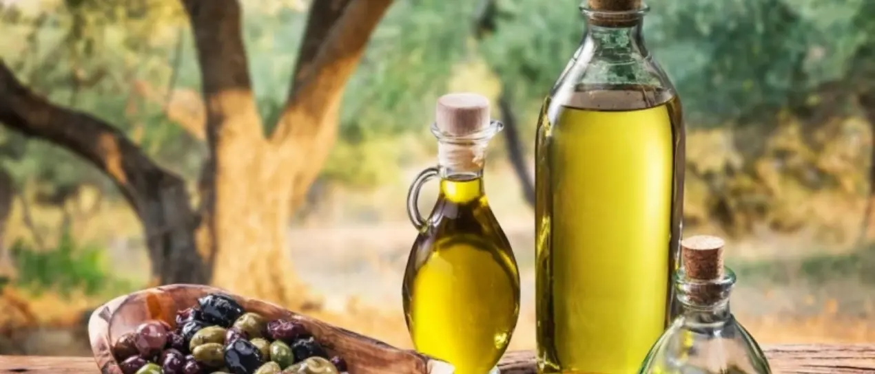 Tutto pronto a Ricadi per la sperimentazione dell'olioturismo: visite guidate, seminari e degustazioni all'insegna dell'oro verde vibonese