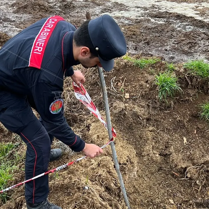 Operazione \"Black Water\" a Vibo Valentia, denunciati allevatori per reati ambientali