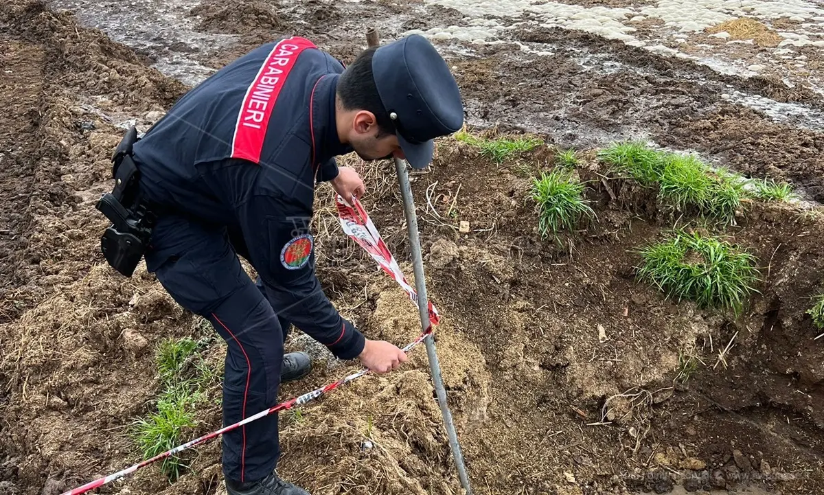 Operazione \"Black Water\" a Vibo Valentia, denunciati allevatori per reati ambientali