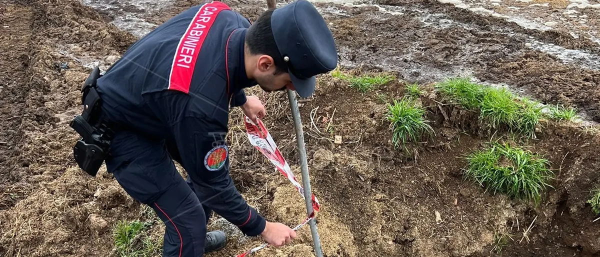 Operazione \"Black Water\" a Vibo Valentia, denunciati allevatori per reati ambientali