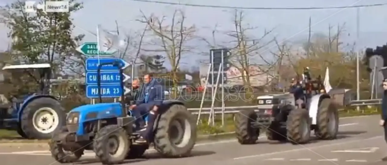 COAPI: Una giornata di eventi e mobilitazioni in Calabria contro la crisi agroalimentare