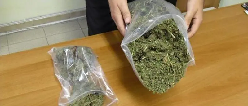 Droga: operazione Handover, condanne definitive per due vibonesi e un rosarnese