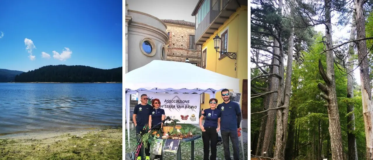 Trekking, “Vivi Serra San Bruno” alla scoperta dei “giganti” della Sila