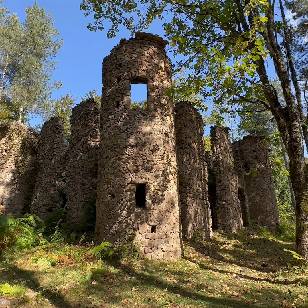 Valorizzazione dei boschi di Brognaturo, chiesta la prima tranche dei fondi