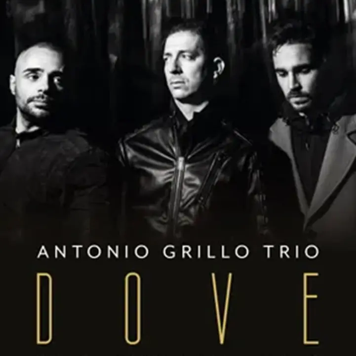 L'Antonio Grillo Trio in concerto questa sera all'Auditorium Cantiere Musicale di Mileto