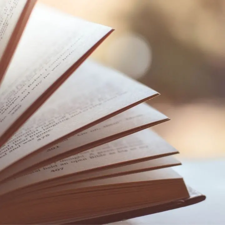 Lavoro, diritti e dignità: a Vibo la presentazione del libro Sindacato di Pisano