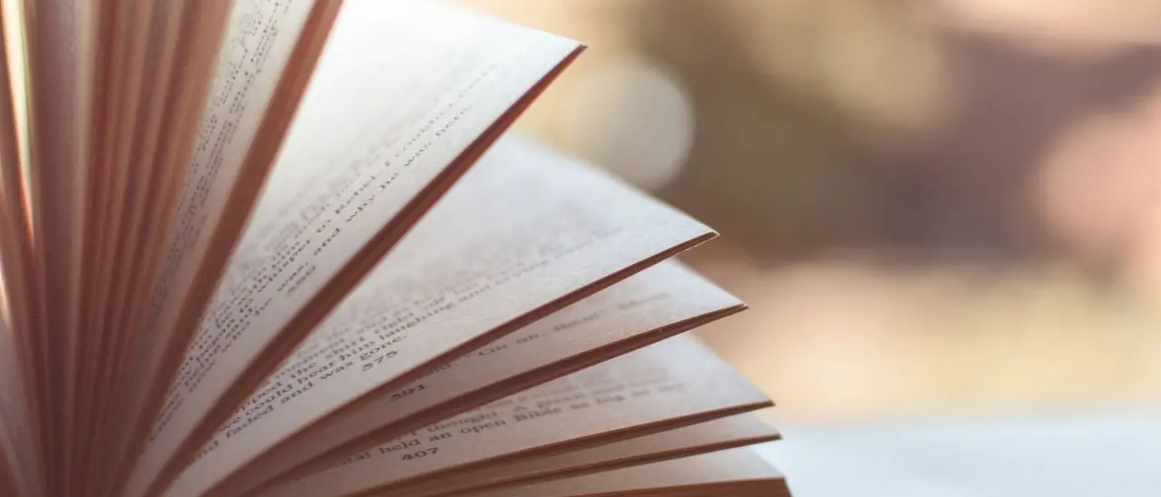 \"Canti di la terra mia\", la raccolta di liriche in dialetto del poeta vibonese Bruno Berlingieri