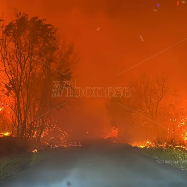 Caldo anomalo e incendi in Calabria, Occhiuto dichiara lo stato di rischio