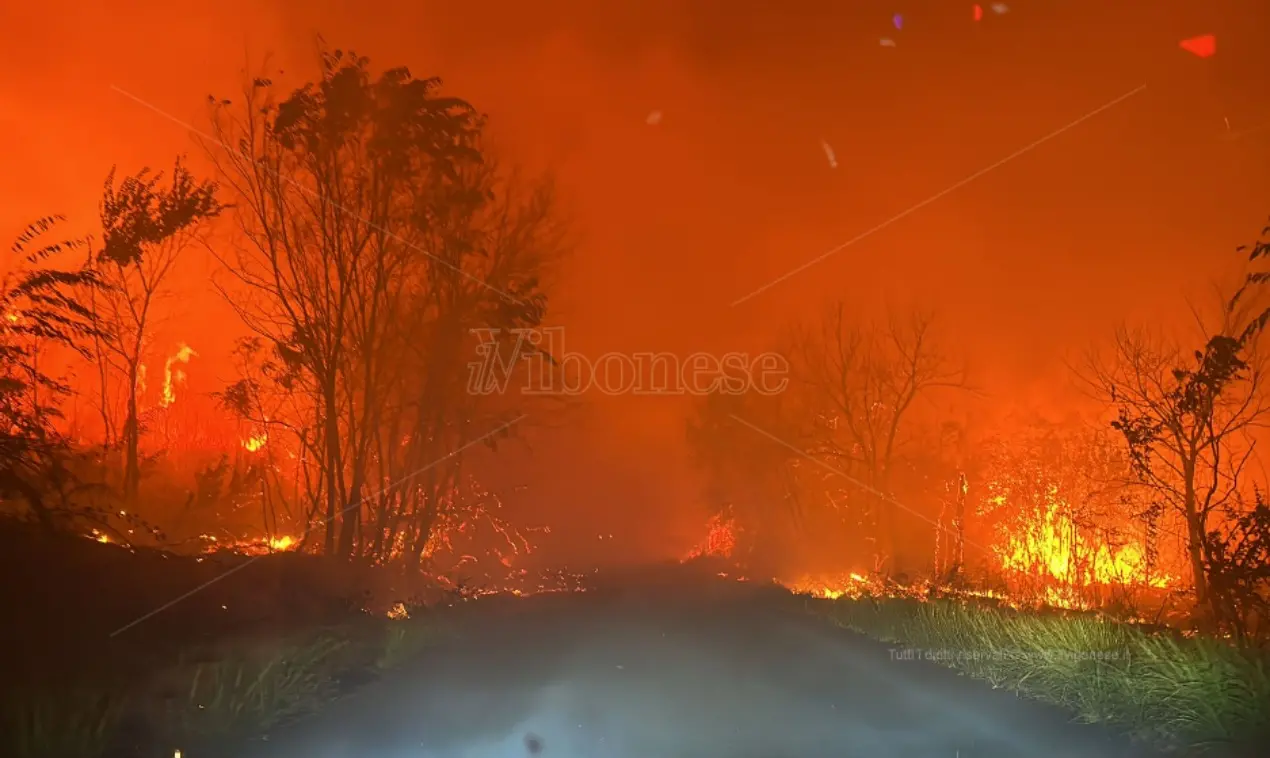Caldo anomalo e incendi in Calabria, Occhiuto dichiara lo stato di rischio