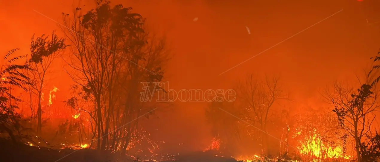Caldo anomalo e incendi in Calabria, Occhiuto dichiara lo stato di rischio