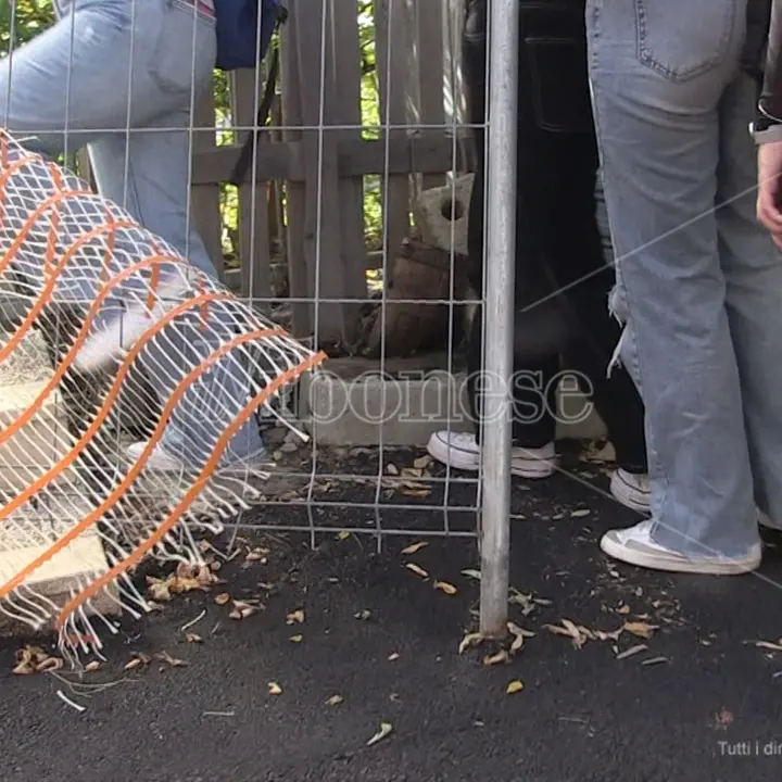 Scala mobile di Vibo ancora ferma ma gli studenti scavalcano le transenne per usarla - Video