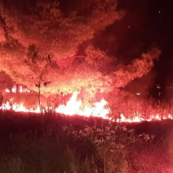 Anas e Vigili del Fuoco contro i roghi\n