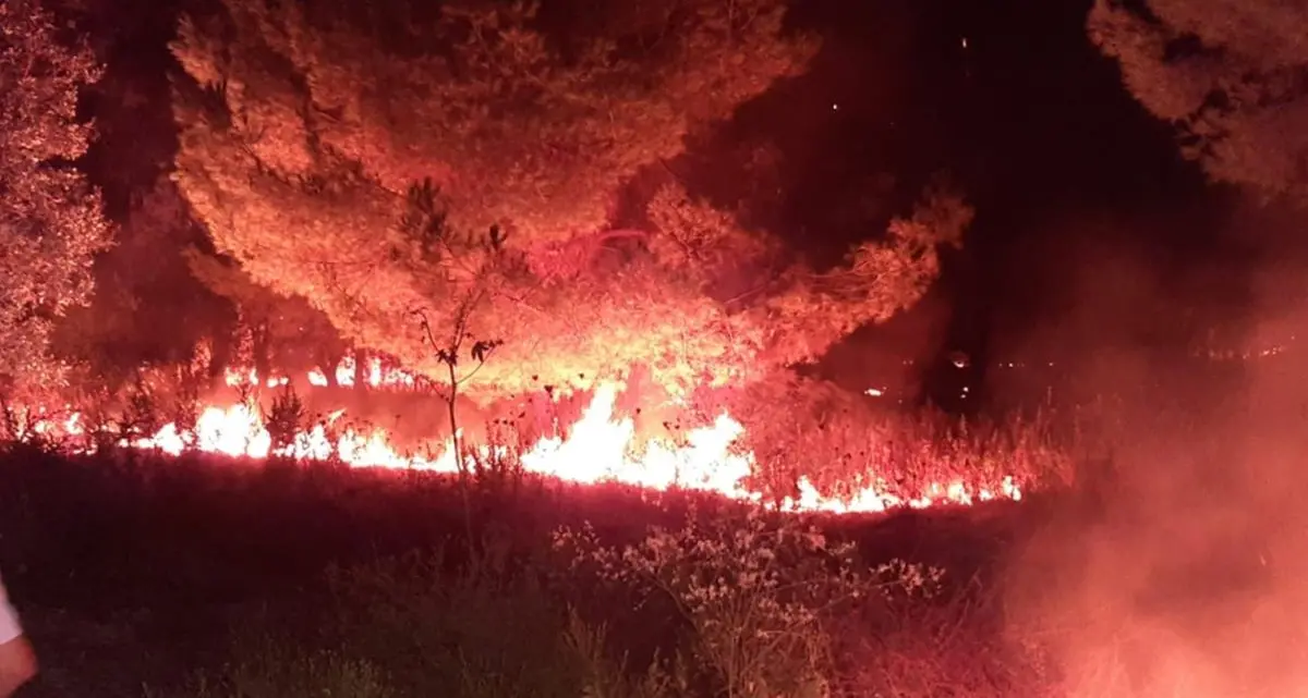 Anas e Vigili del Fuoco contro i roghi\n