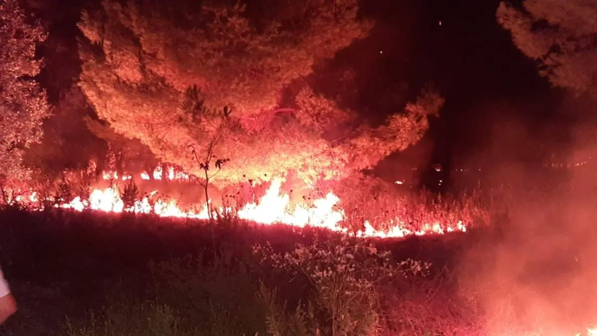 “Mai più disastri annunciati”, domenica 10 agosto a Praia una manifestazione contro gli incendi\n