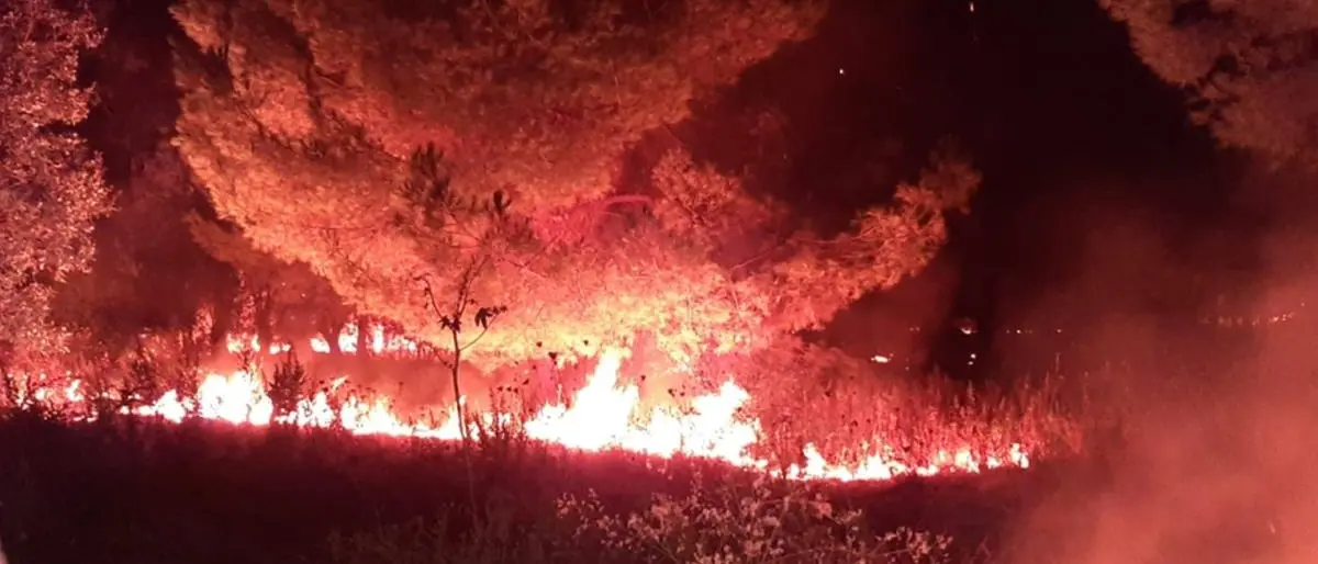 “Mai più disastri annunciati”, domenica 10 agosto a Praia una manifestazione contro gli incendi\n