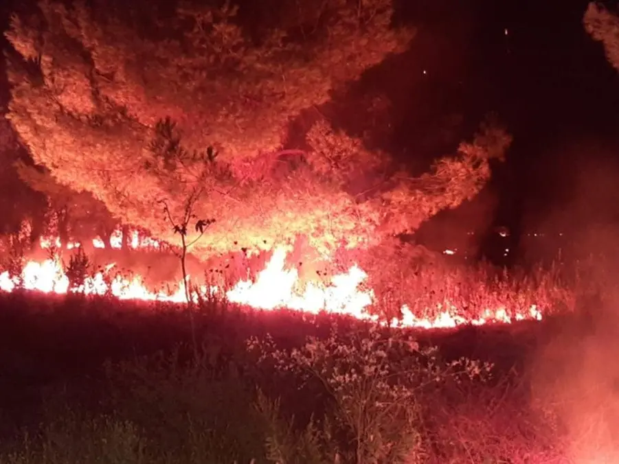 Inferno di fuoco lungo l'alto Tirreno cosentino, incendi in diversi punti della costa