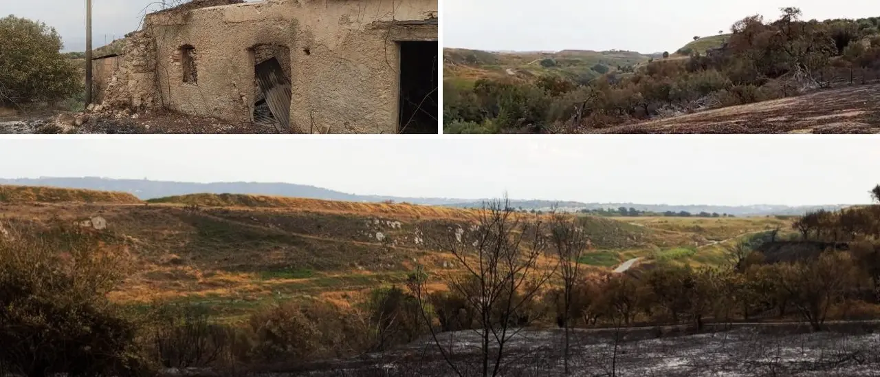 Incendi a Briatico, inizia la conta dei danni. Il sindaco: «Un inferno che ha distrutto ogni cosa»