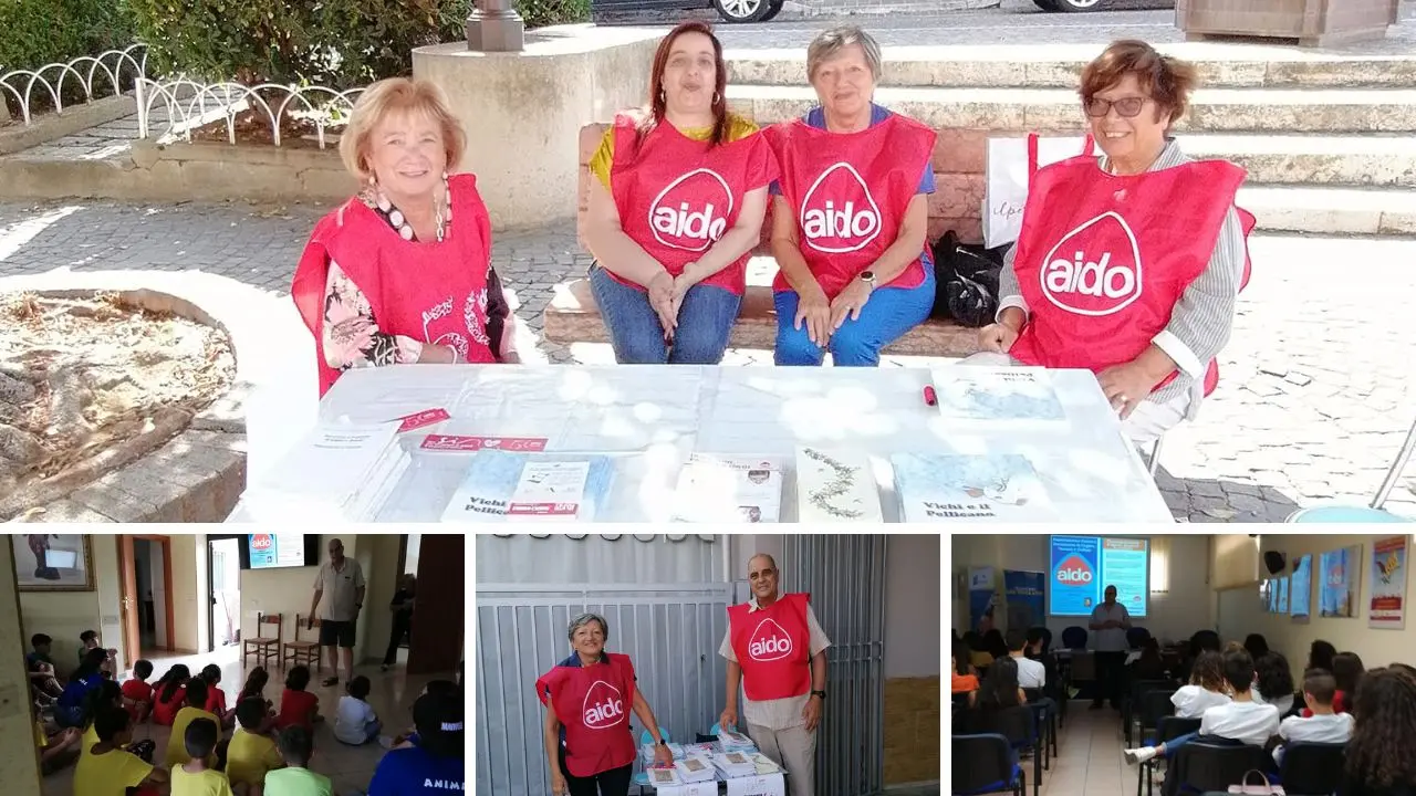 Donazione degli organi e testimonianze nelle scuole, Aido Briatico: «Abbattiamo i pregiudizi»