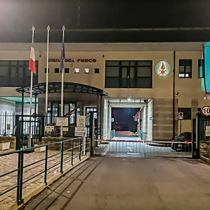 Pans-Pandas, la sede dei vigili del fuoco di Vibo si illumina di verde