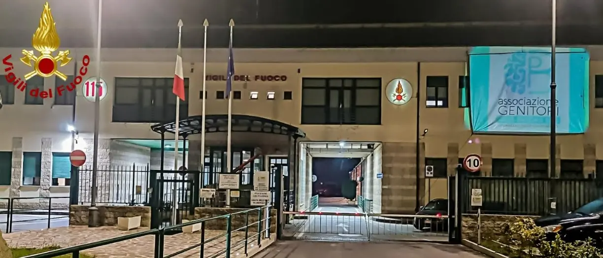 Pans-Pandas, la sede dei vigili del fuoco di Vibo si illumina di verde