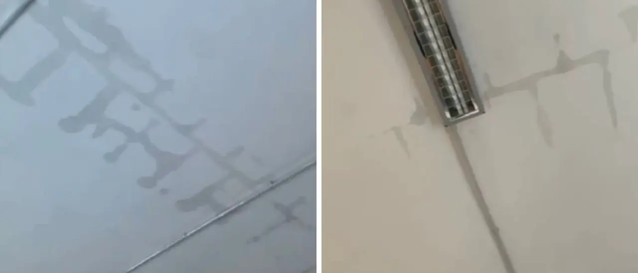 Vibo, studenti costretti ad abbandonare le lezioni all'Istituto G. Galilei, De Pinto: «Piove in classe»