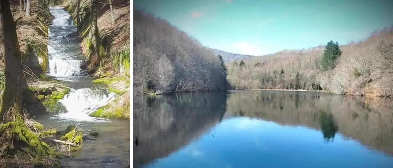 Festa del fungo, a Serra San Bruno anche escursioni nei boschi