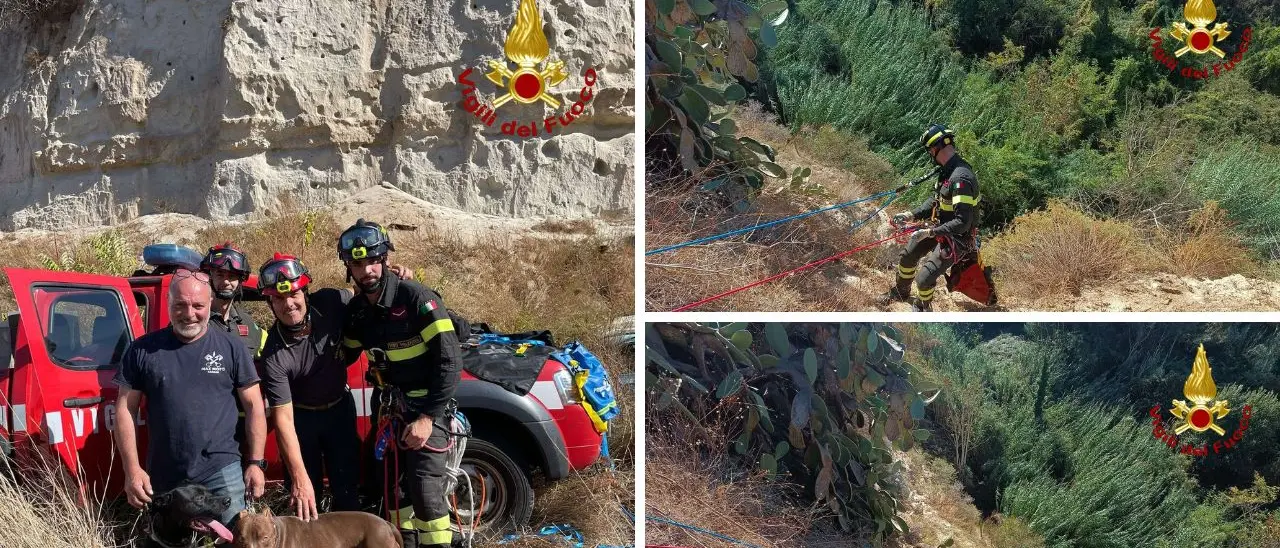 Ricadi, due cani precipitano in un burrone: salvati dai vigili del fuoco