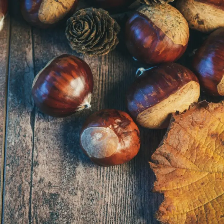 Castagnata di san Martino: tutto pronto a Briatico per l’evento targato Proloco