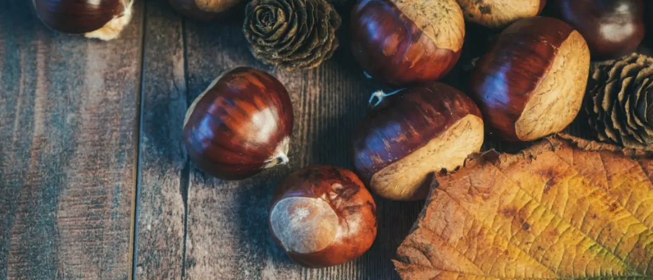 Serra San Bruno si prepara a ospitare la Giornata della castagna e del vino