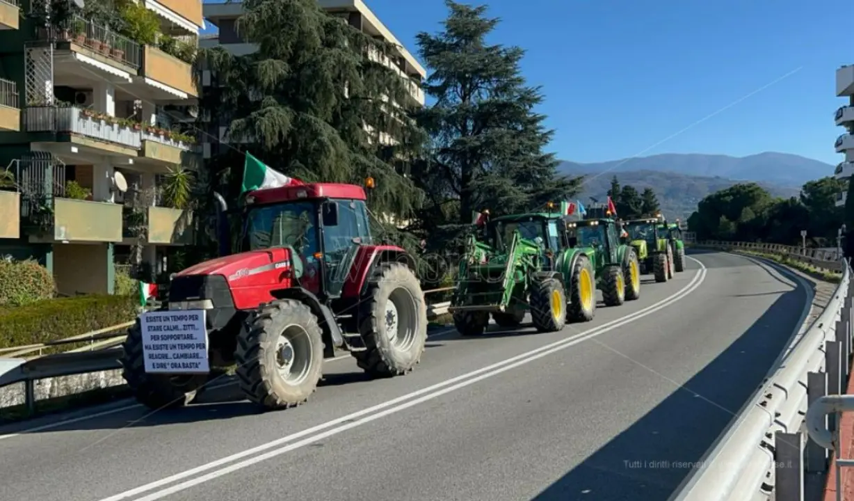 Costi insostenibili e niente aiuti, gli agricoltori calabresi in protesta - Video