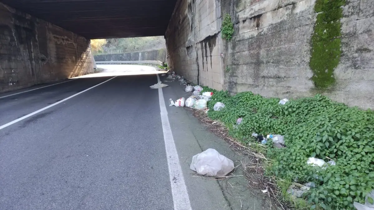 Intesa tra Anas e Comune di Vibo: ripuliti dalla spazzatura tratti delle Statali 18 e 182