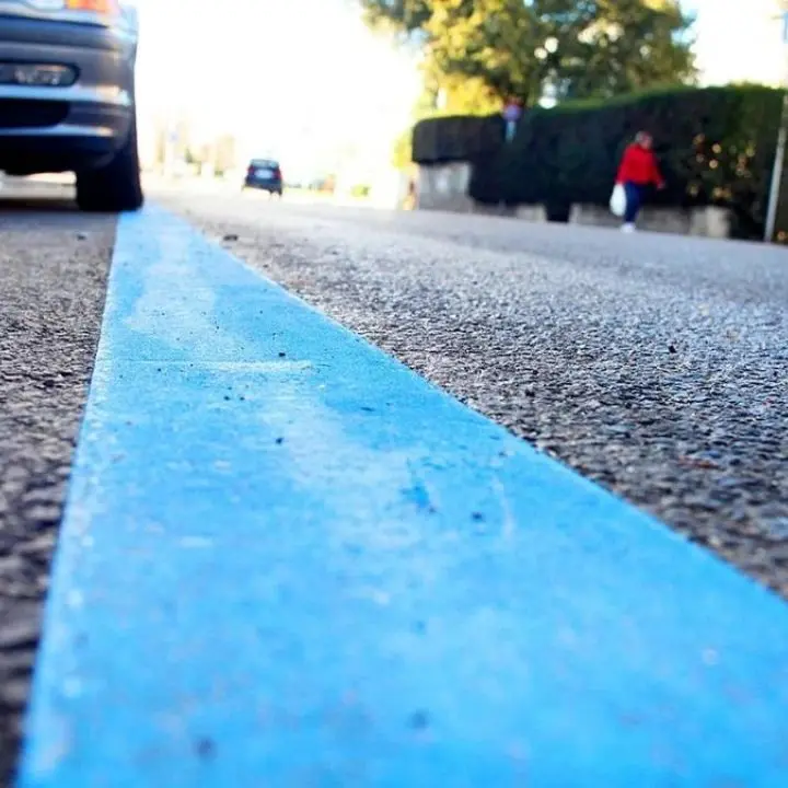 Strisce blu a Vibo, Frezza (Italia Nostra): «Basterebbe il disco orario, la fruizione degli spazi pubblici è un diritto non un modo per fare cassa»