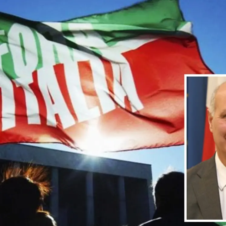 Forza Italia Vibo, nuovi ingressi nel coordinamento provinciale: ci sono anche 12 sindaci