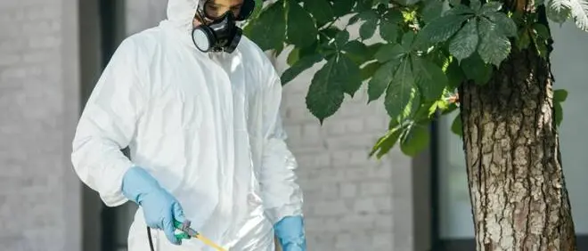 Mileto, al via la campagna di disinfestazione su tutto il territorio