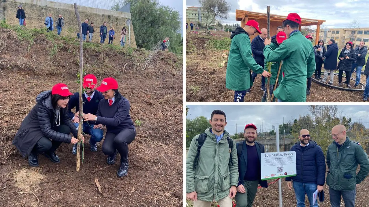 “Bosco Diffuso Despar”, piantati 200 alberi nel giardino dell'istituto agrario vibonese