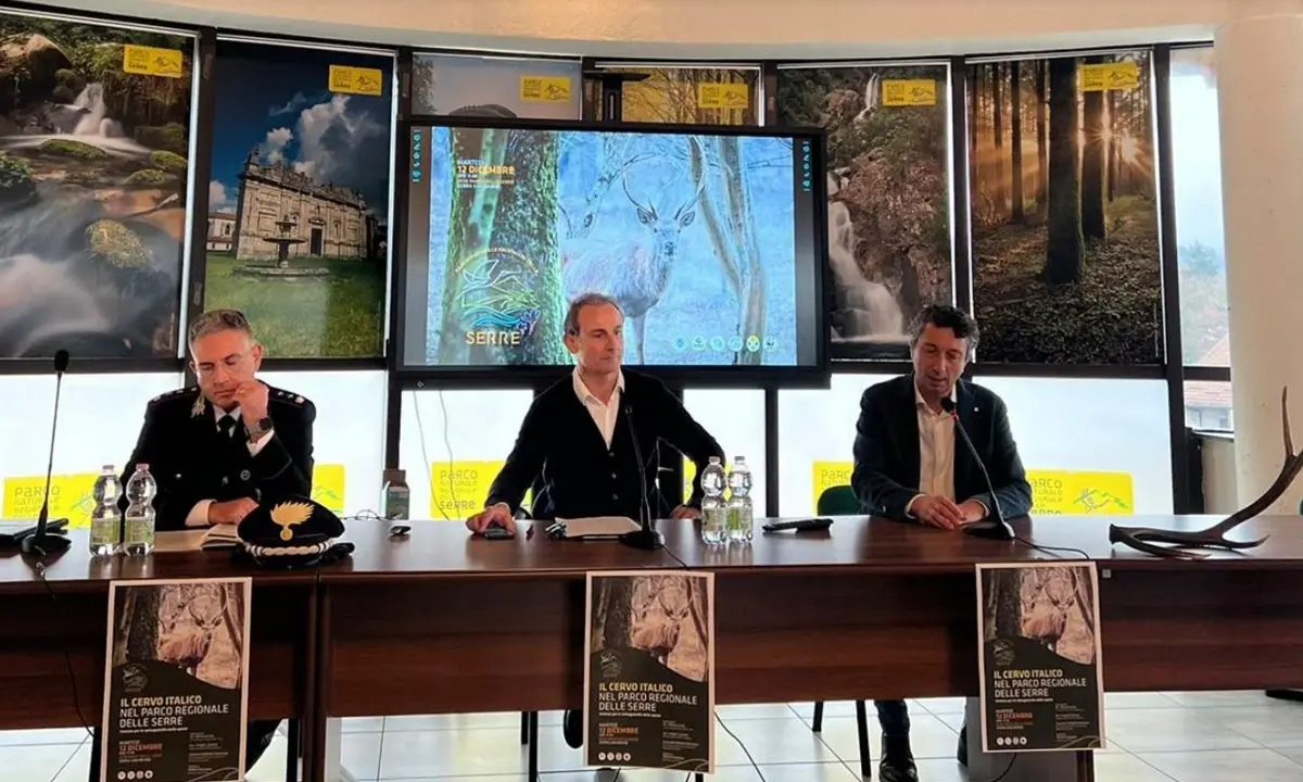 Il cervo italico torna a popolare il Parco naturale regionale delle Serre - Video