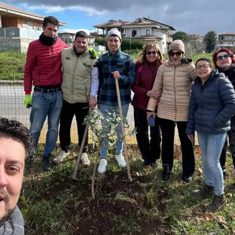 Festa dell’albero, a Vena di Ionadi il M5S di Vibo mette a dimora sette piantine