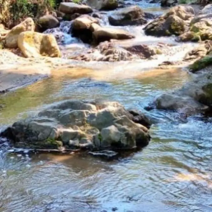 Ricadi: al museo paleontologico si parlerà dell'acqua, linfa vitale da proteggere